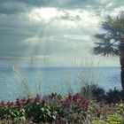 Bodensee musste mal wieder sein, Blick von der Blumeninsel über den See