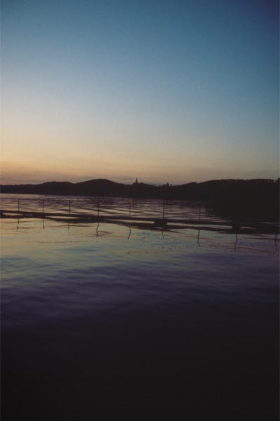 Bodensee nach Sonnenuntergang