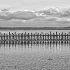 Bodensee Naturschutzgebiet bei Fussach.