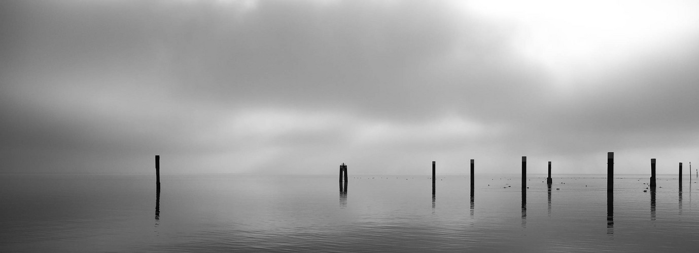 Bodensee Nebel