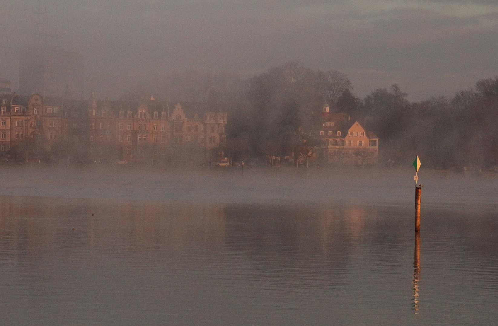 Bodensee-Nebel