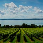 Bodensee pano