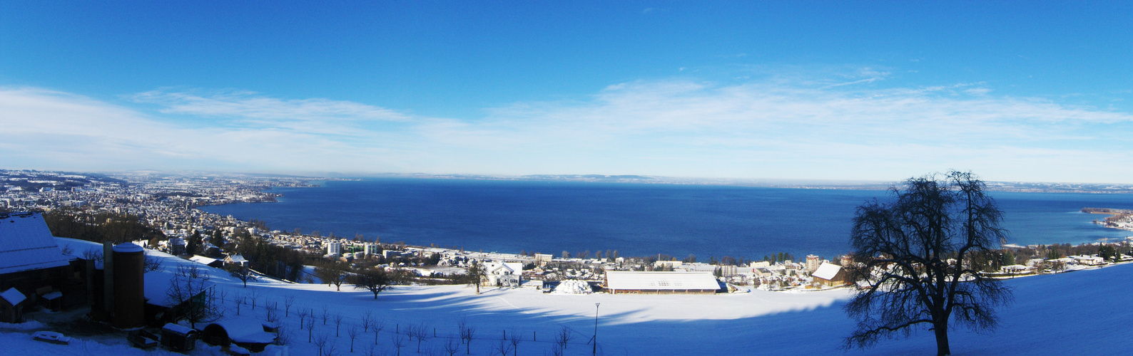 Bodensee Panorama