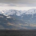 Bodensee Panorama