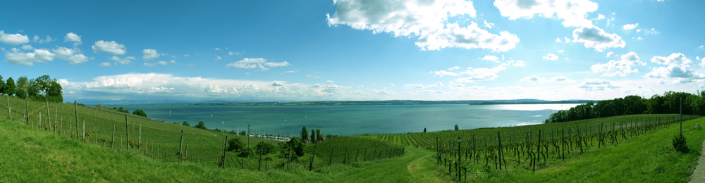 Bodensee Panorama