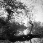 Bodensee, Pinhole