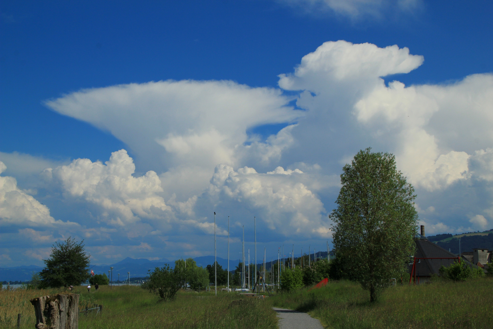 Bodensee, Promenade Horn (Schweizerseite)