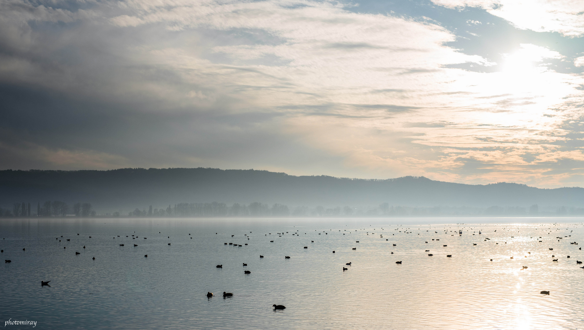 Bodensee, Radolfzell