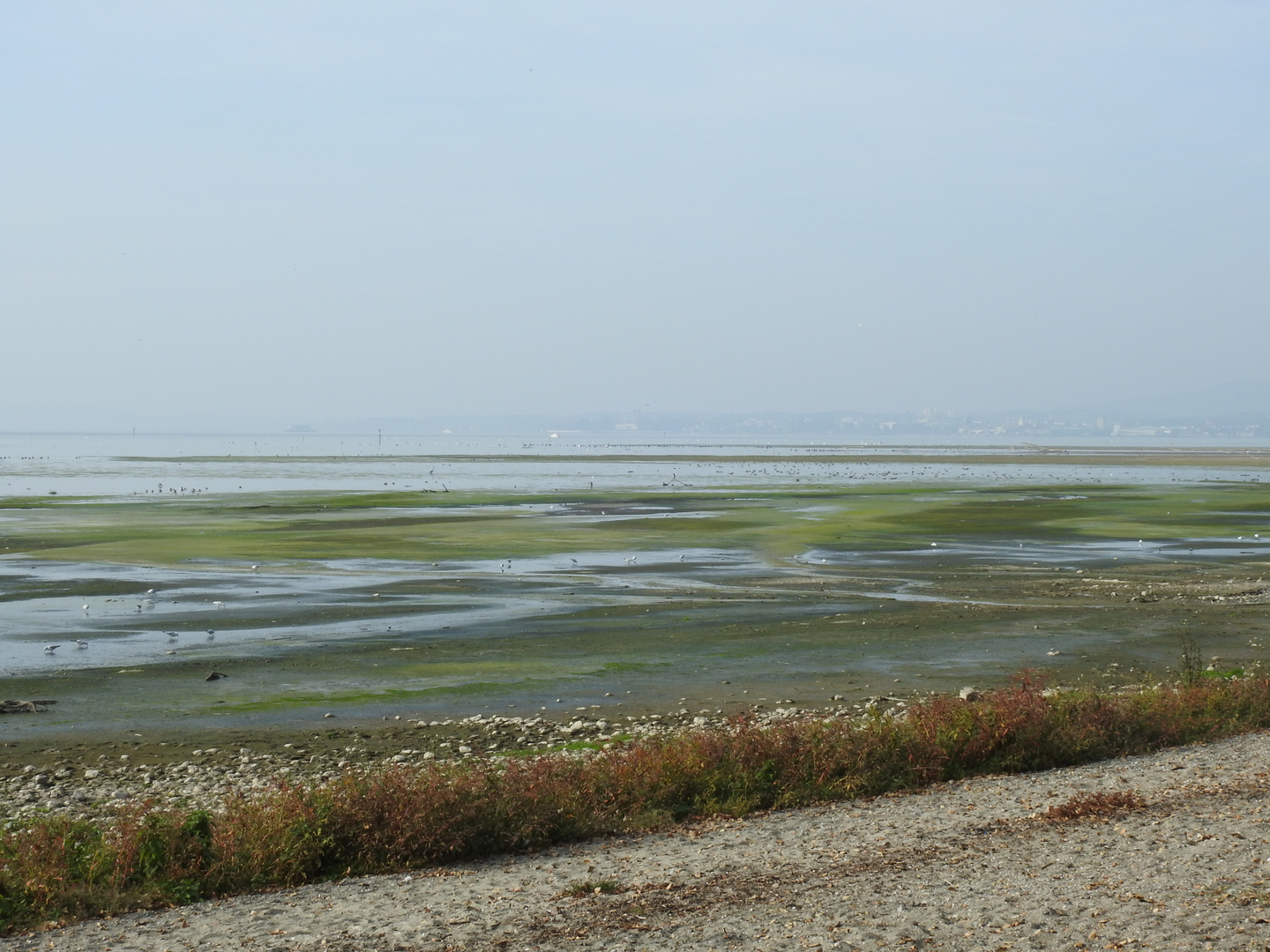 Bodensee Radtour im Oktober 2018_1