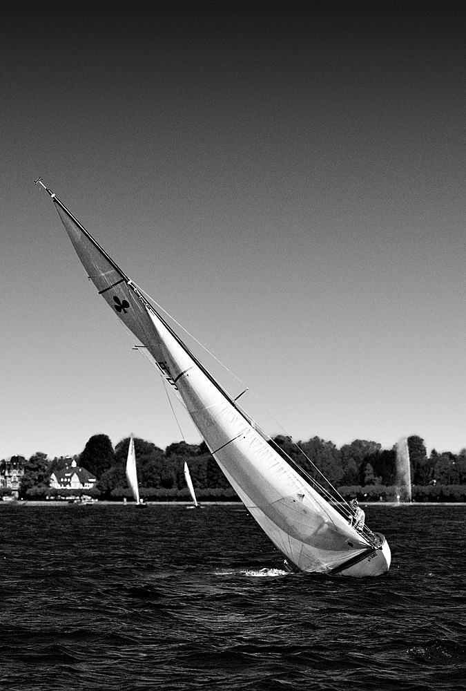 Bodensee Regatta