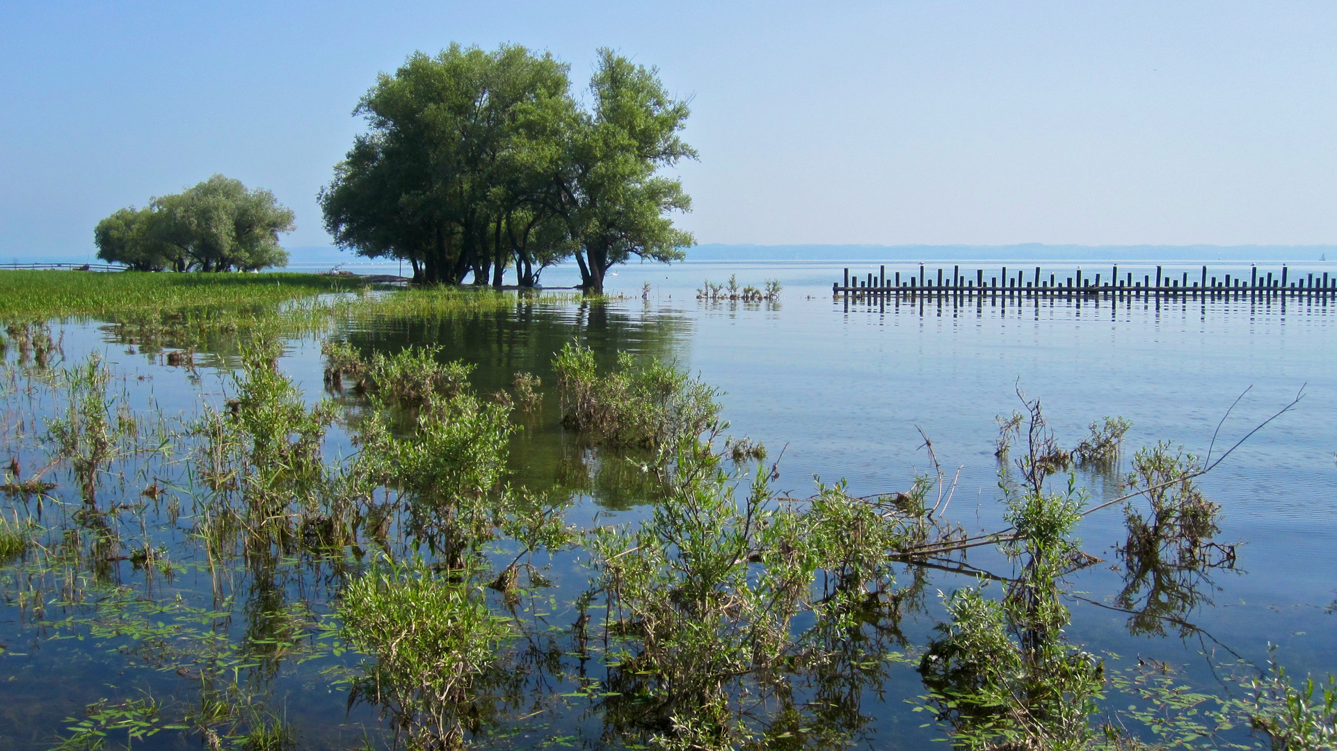 Bodensee Rheinholz