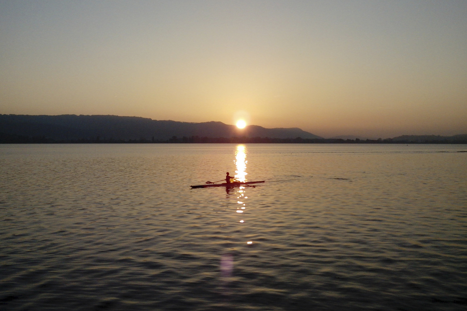 Bodensee Ruderer