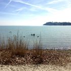 Bodensee-Ruhe