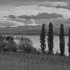 Bodensee schwarz-weiss