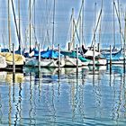 Bodensee Segelhafen Konstanz