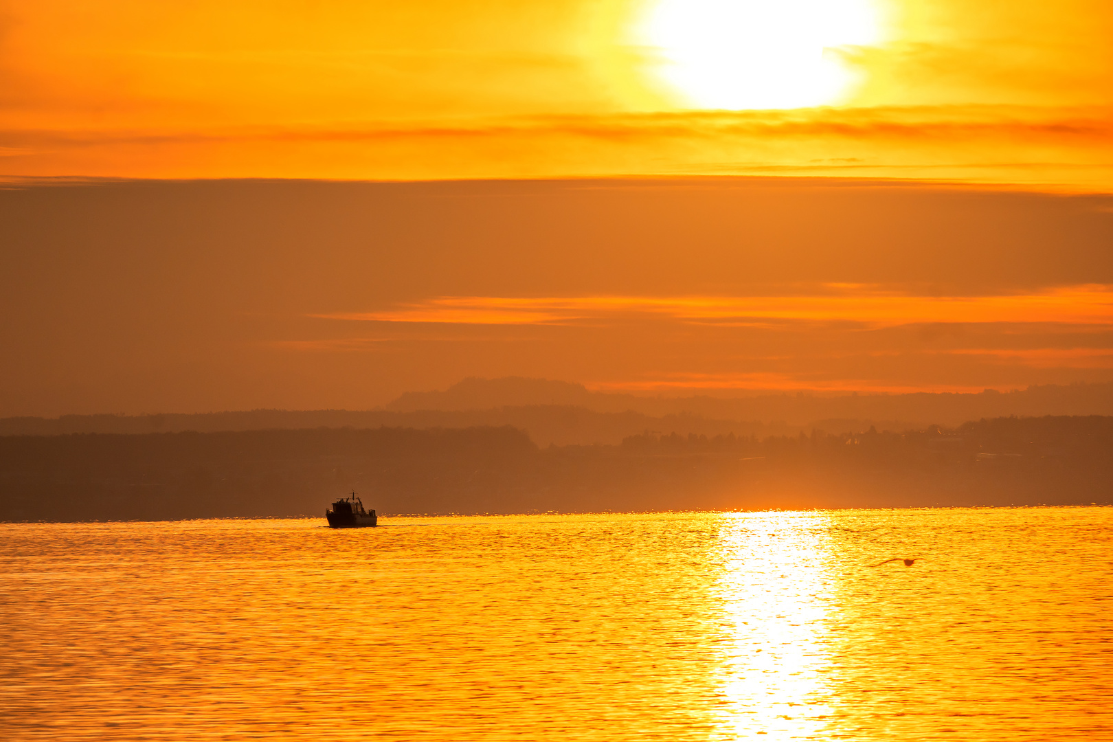 BODENSEE :SONNENUNTERGANG 