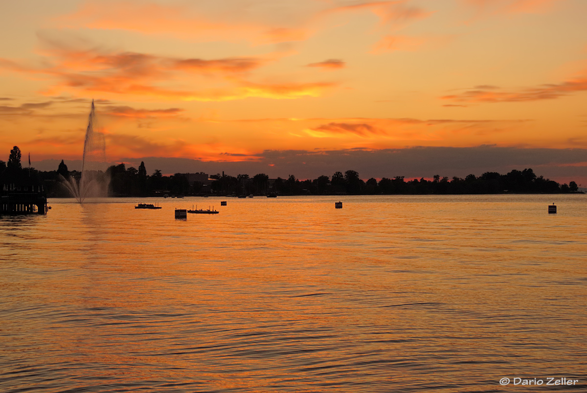 Bodensee Sunset