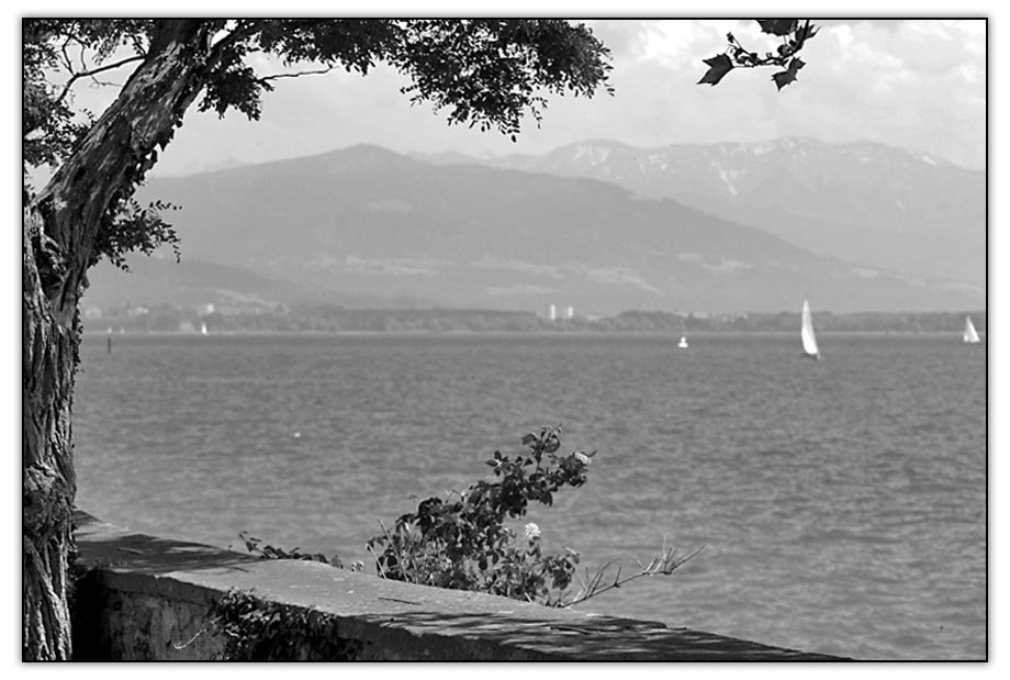 Bodensee s/w