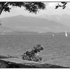Bodensee s/w