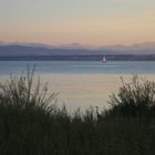 Bodensee Szene mit Fischreiher bei Immenstaad