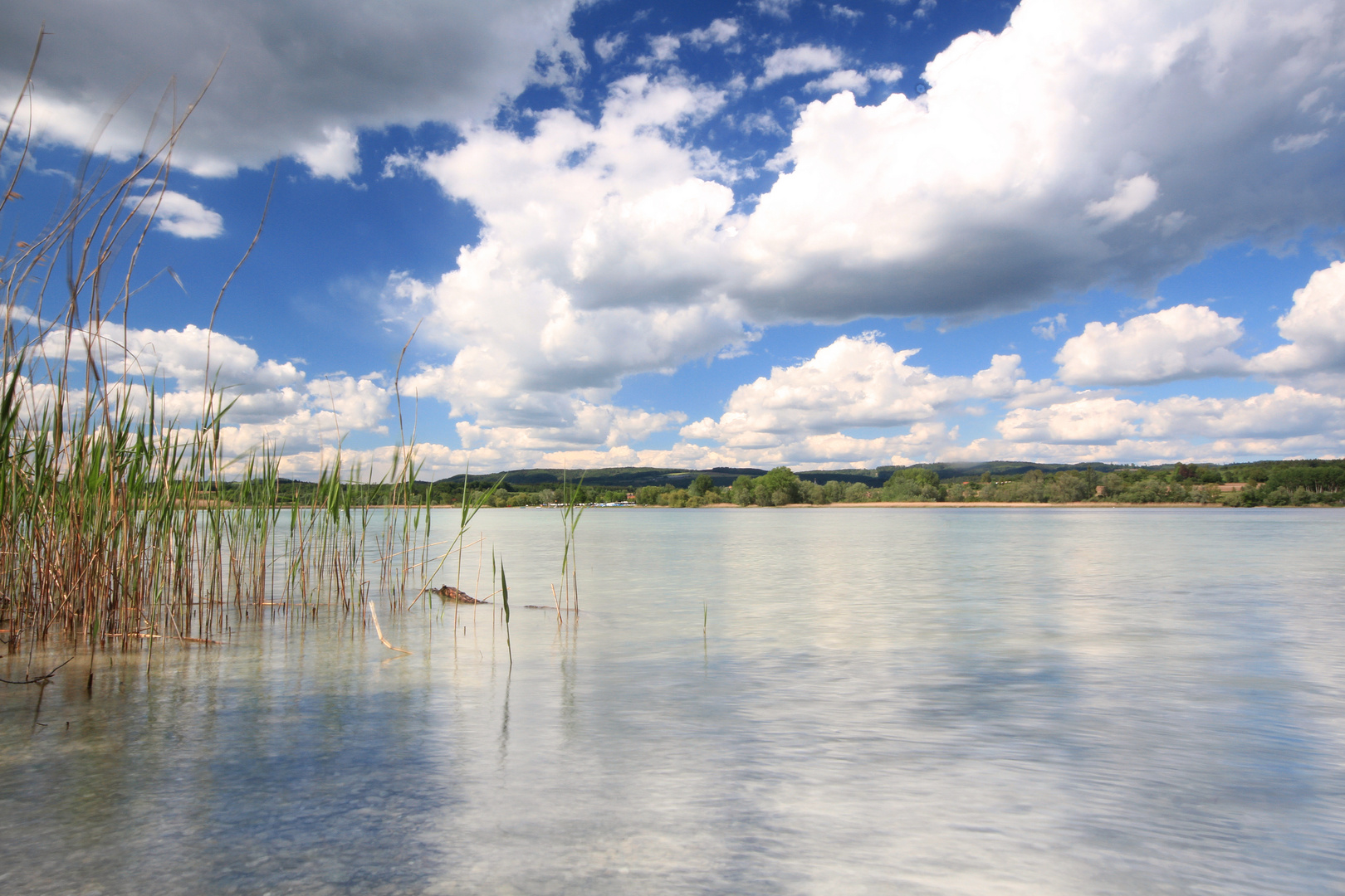 Bodensee Ufer