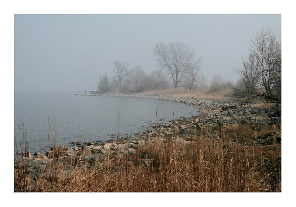 Bodensee-Ufer am Rohrspitz