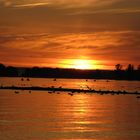 Bodensee und Himmel 3