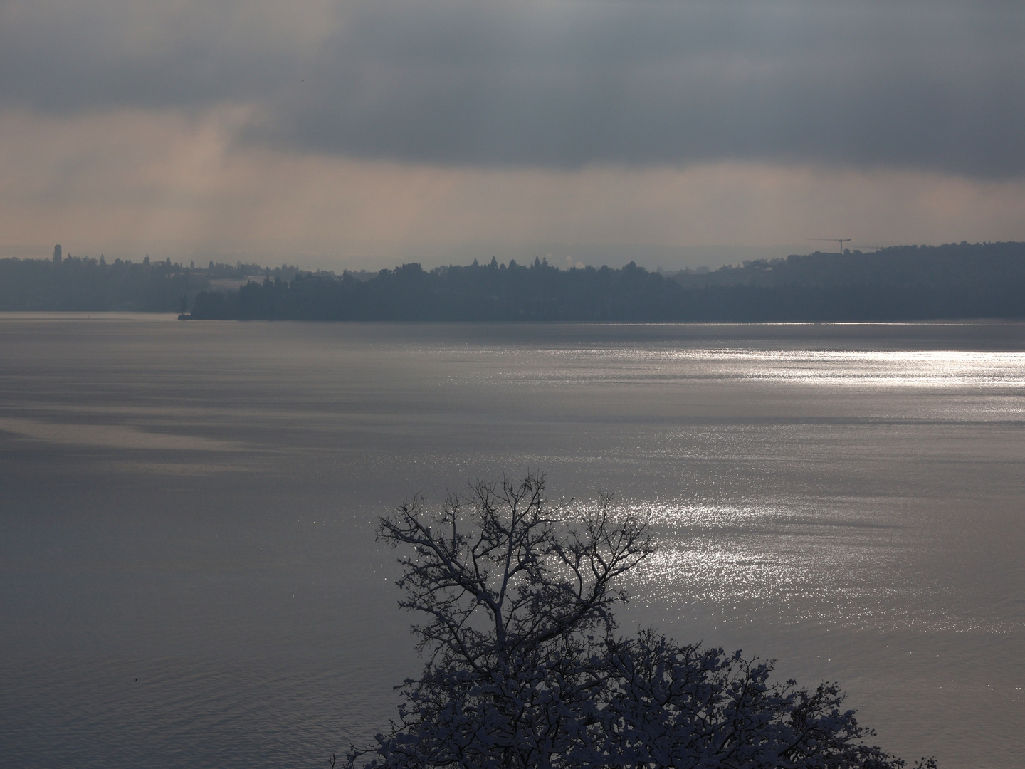 Bodensee und Insel Mainau im Winter