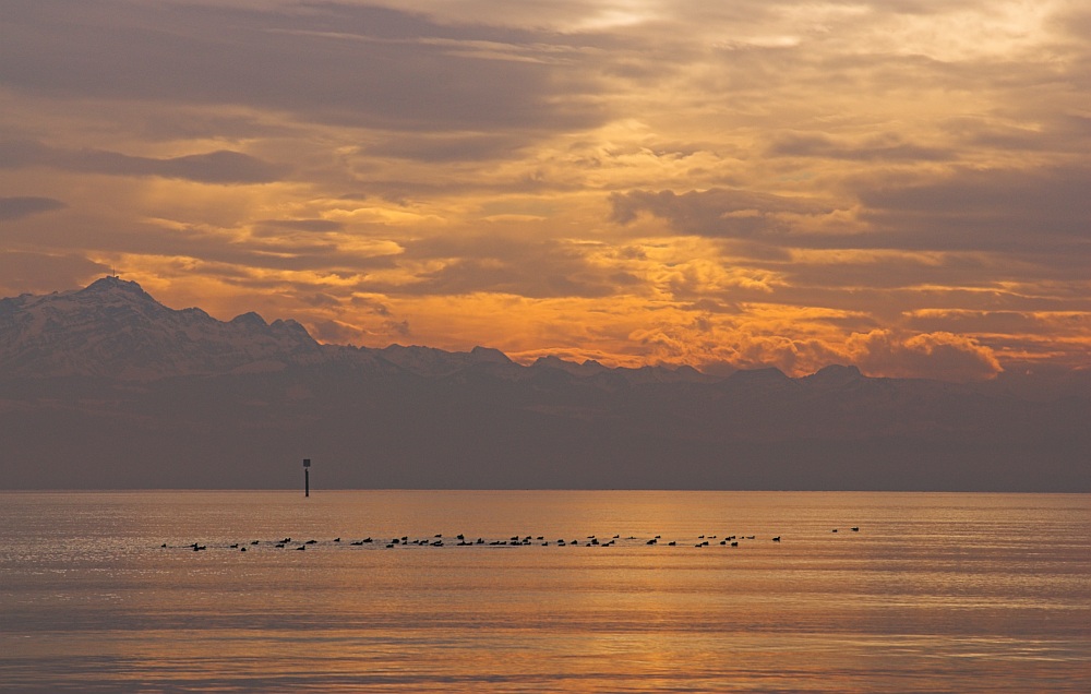 Bodensee und Sonne in den Alpen