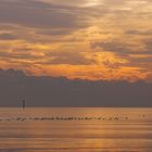 Bodensee und Sonne in den Alpen