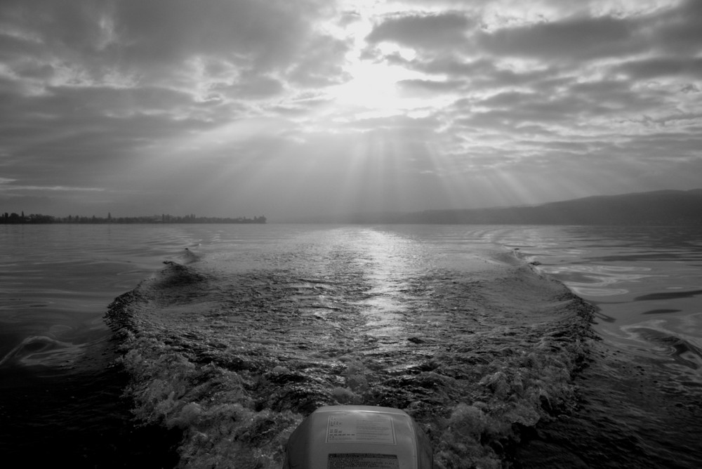 Bodensee/ Untersee Blick auf die Insel Reichenau