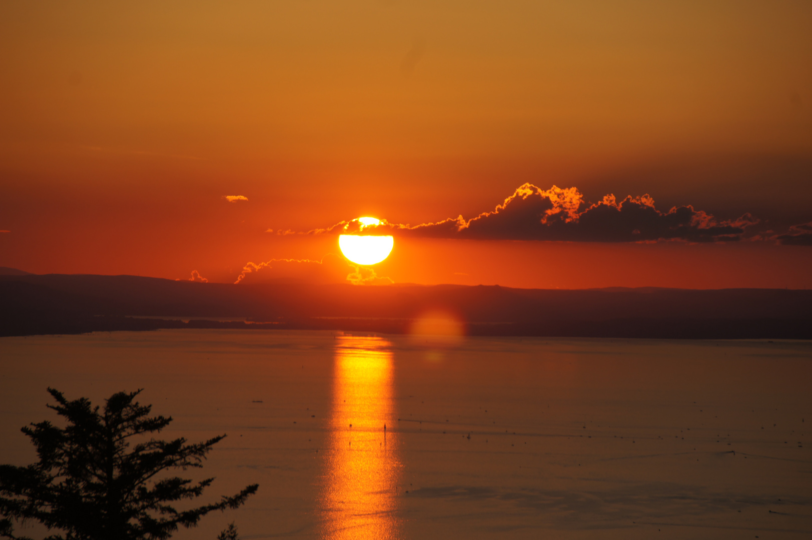 Bodensee vom Pfänder 