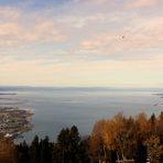 Bodensee vom Pfänder im Herbst