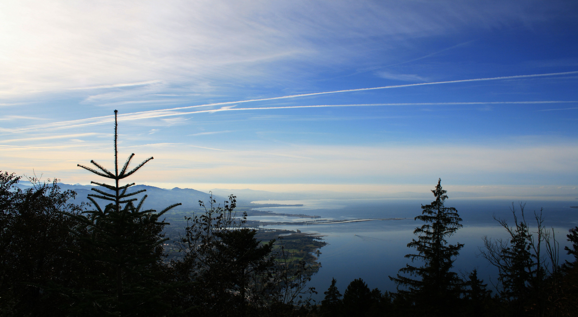 Bodensee von Bregenz aus