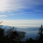 Bodensee von Bregenz aus