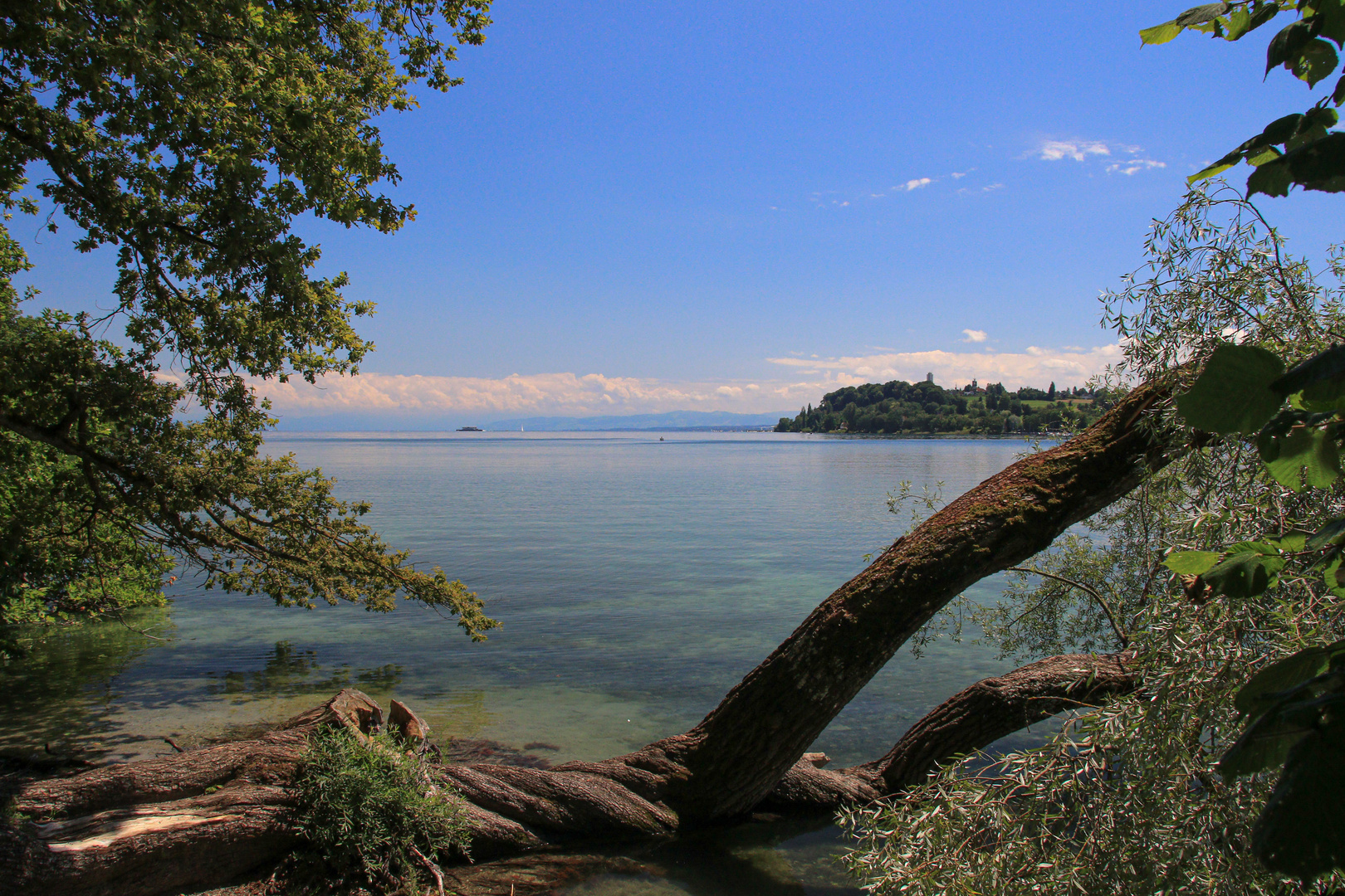 Bodensee von Mainau aus