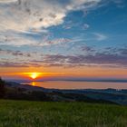 Bodensee von oben