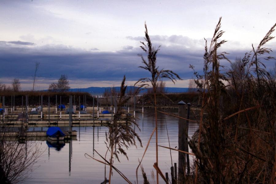 Bodensee Vorarlberg