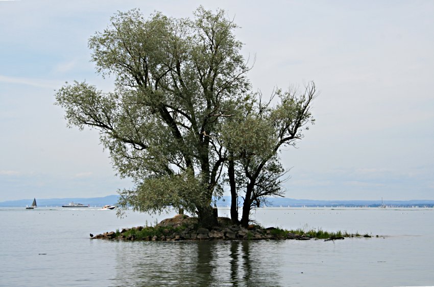 Bodensee-Vorarlberg Einsame Insel