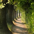 Bodensee - Wanderweg Hagnau nach Immenstaad