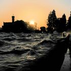 Bodensee - Wasserwelten