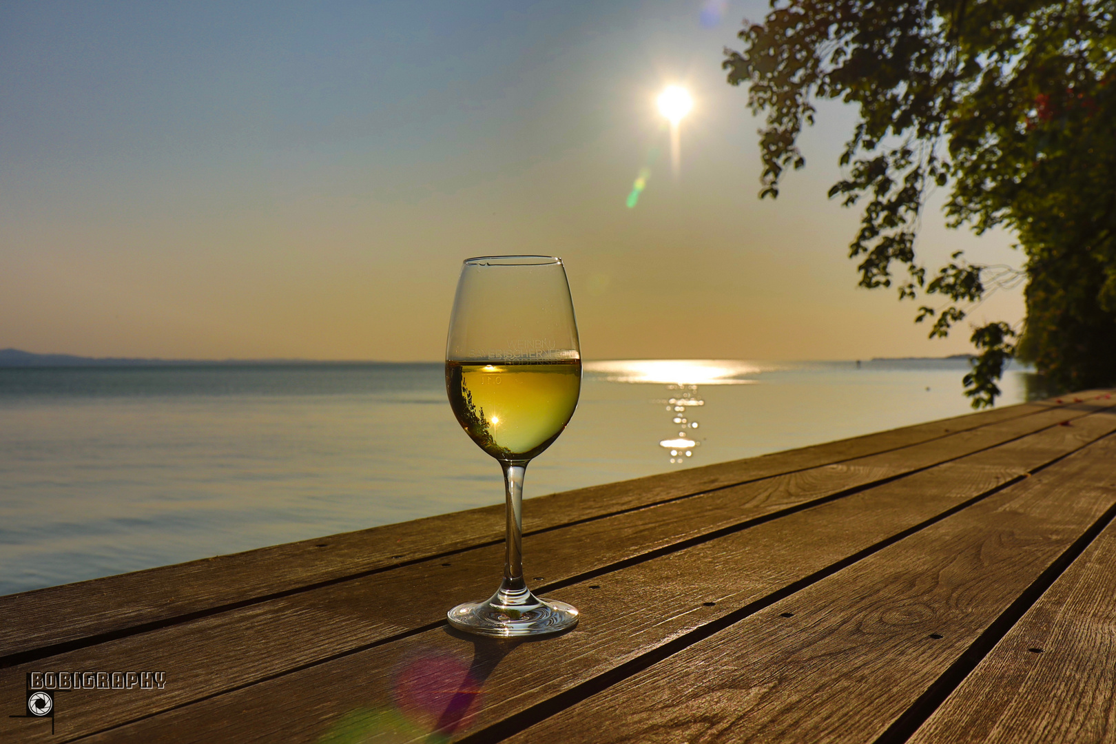 Bodensee-Wein