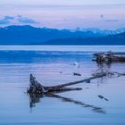 Bodensee zur blauen Stunde