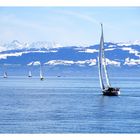 Bodensee#1_170430