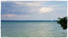 Bodensee_Altnau_170625