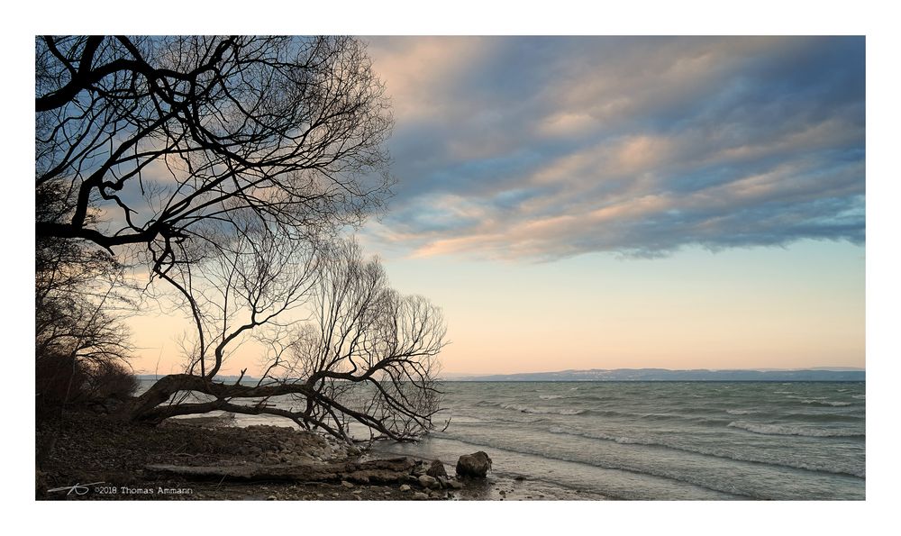Bodensee_Bise#3_180224