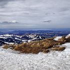 Bodenseeblick