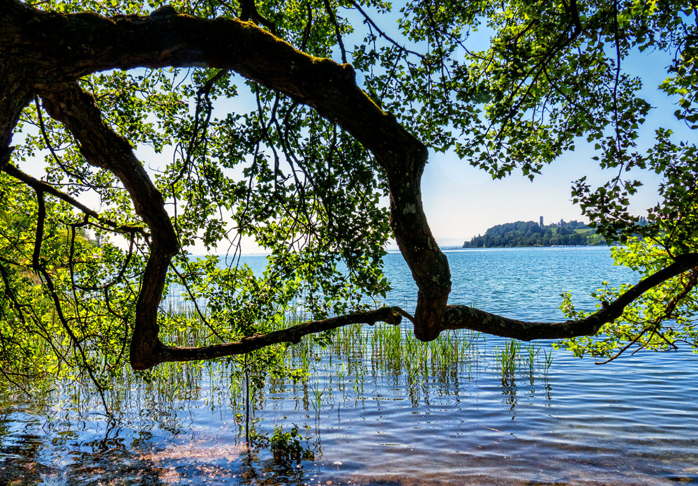 Bodenseeblick