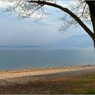 ... Bodenseeblick ...