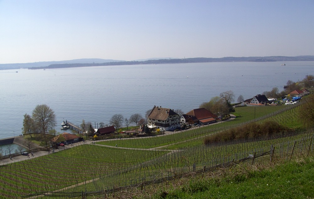 Bodenseeblick